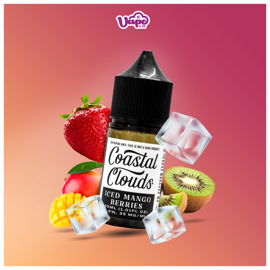 Imagen de salt ICED MANGO BERRIES