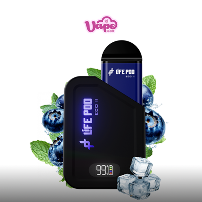 Imagen de BLUEBERRY MINT