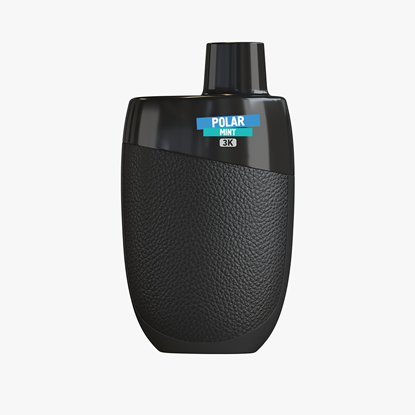 Imagen de POLAR MINT (3000 puff)