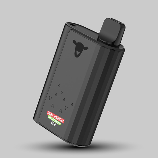 Imagen de STRAWBERRY/WATERMELON (6000 puff)