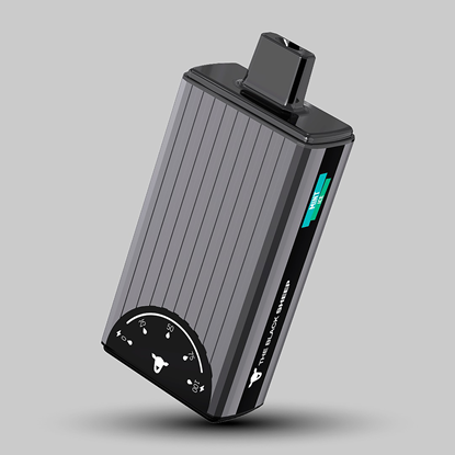 Imagen de MINT ICE (NEW 8K)